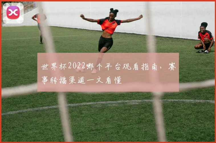 世界杯2022哪个平台观看指南，赛事转播渠道一文看懂